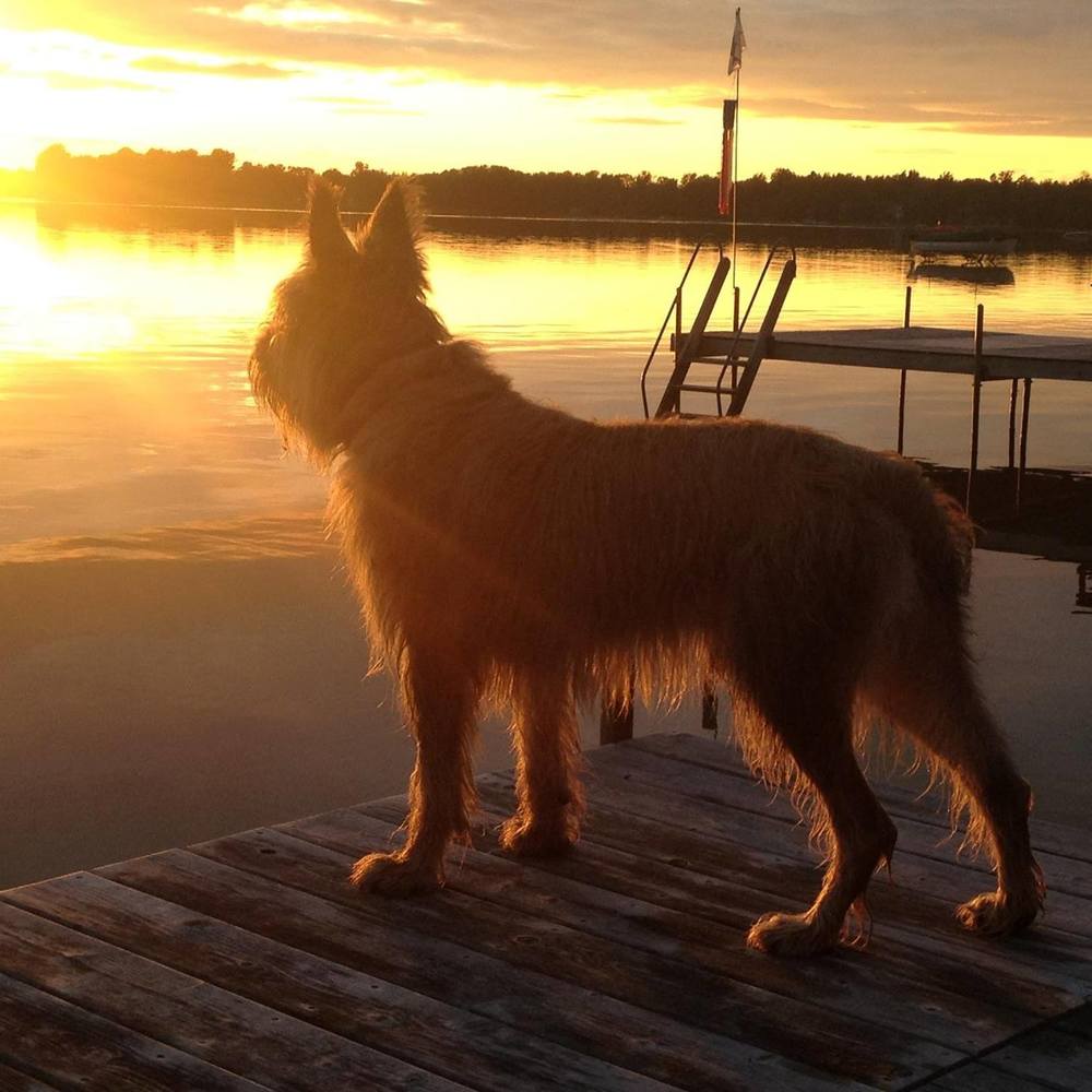 Meet your Posher, Milo